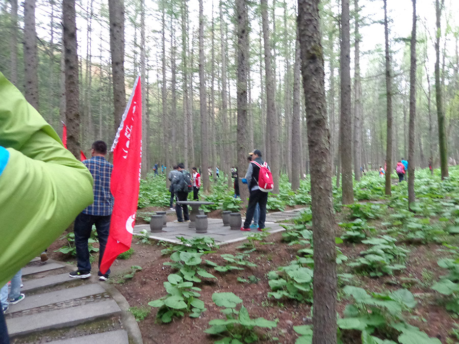 河南普泽四月芳菲天 悦驾白云山自驾游完美收官