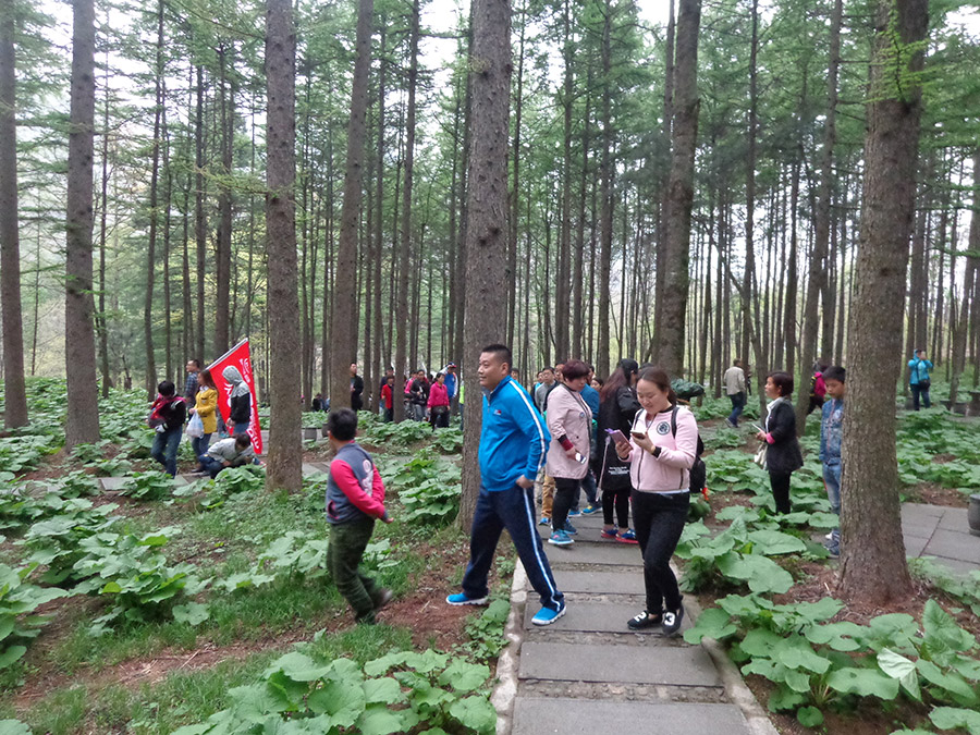 河南普泽四月芳菲天 悦驾白云山自驾游完美收官