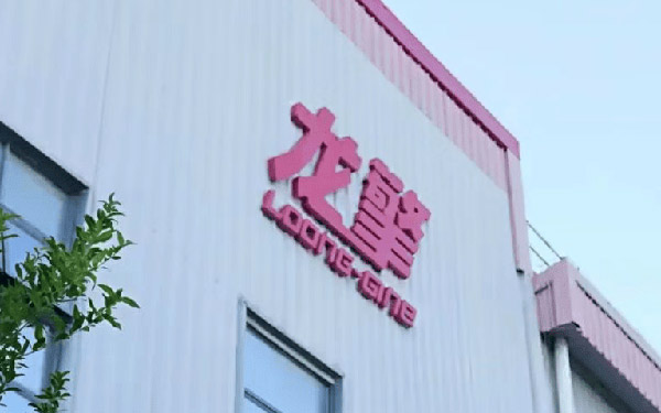 东风龙擎叶峰:战略、技术与服务铸就市场开拓基础