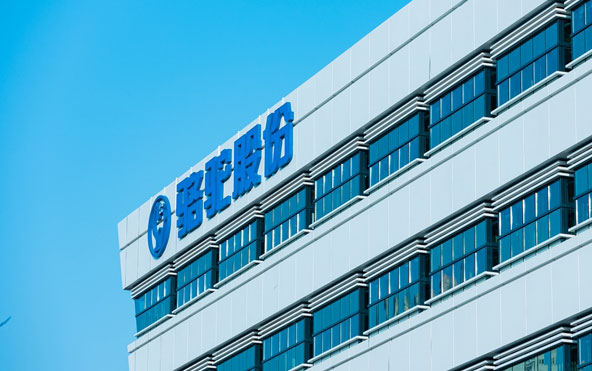 蝉联襄阳民企百强榜首，骆驼集团跻身行业“顶流”