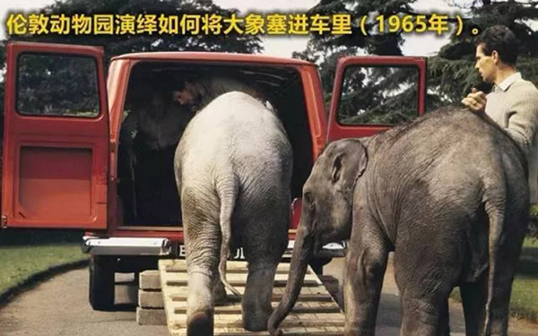 从风靡欧洲到畅销全球，福特全顺铸就轻客传奇_图片新闻
