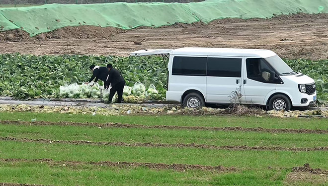 空间大动力强 牌成就河北果农的采摘生态园做大做强  