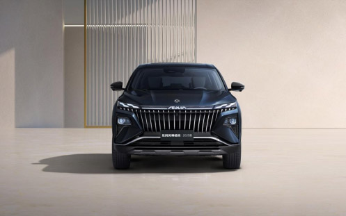 “大家好智混SUV”风神L8领衔,东风风神携明星车型闪耀武汉车展_图片新闻