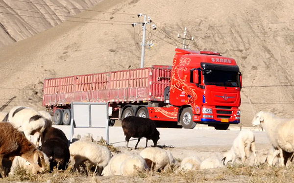 从“百家争鸣”到“龙擎主导” 新疆燃气车市场东风正盛_图片新闻